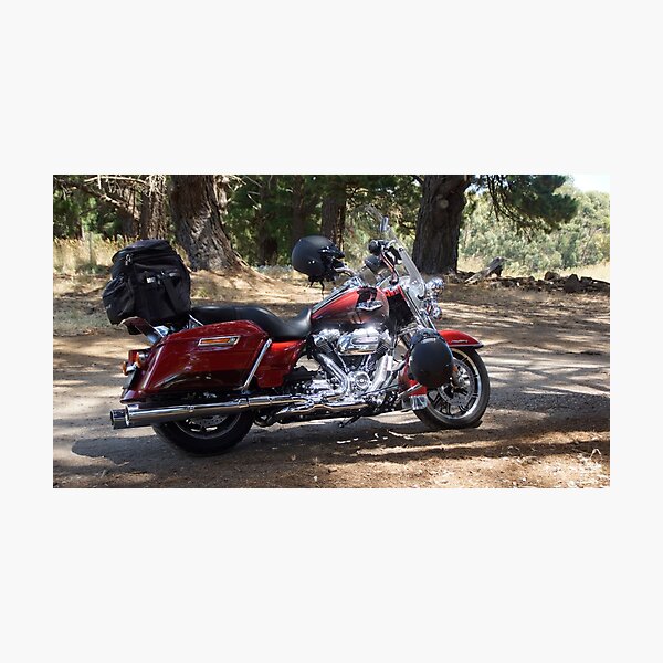 Item preview, Motor Bike by Adelaide artist Avril Thomas at Magpie Springs designed and sold by MagpieSprings.