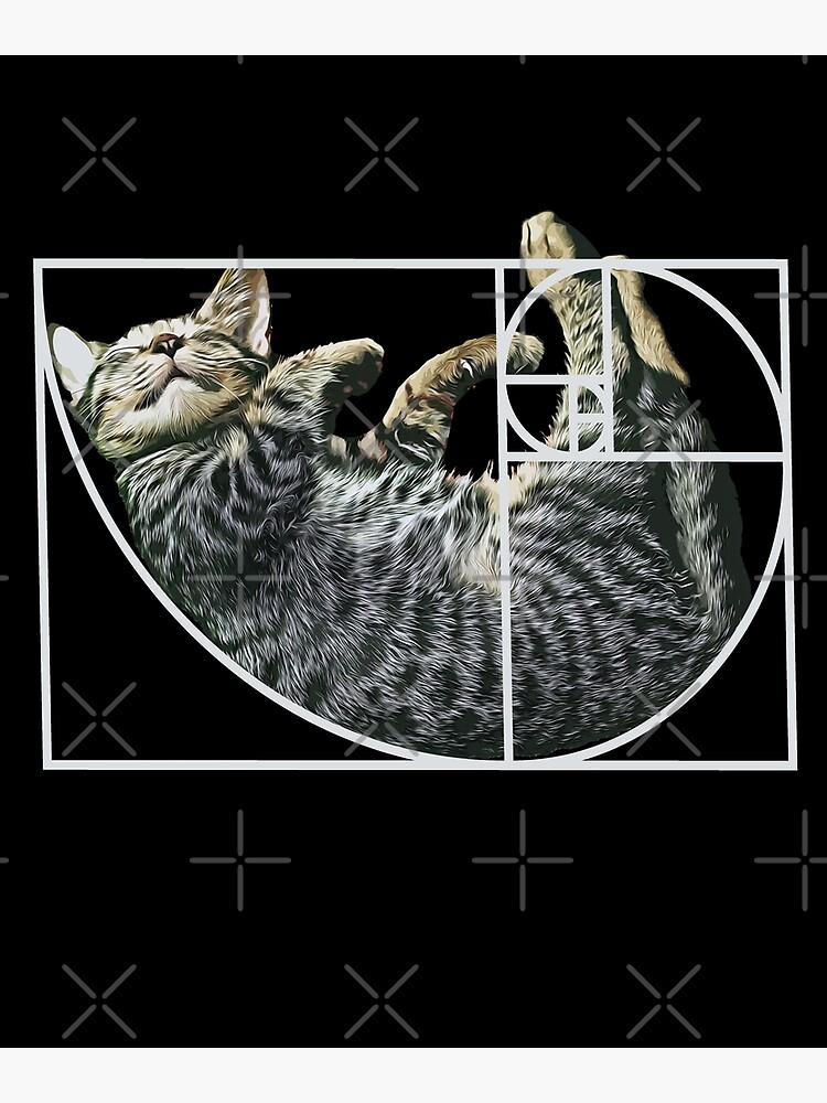 Disover Golden Ratio Fibonacci Cat Fibonacci's Spiral Kitty Premium Matte Vertical Poster