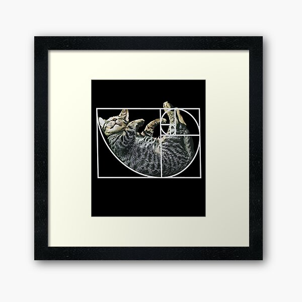 Item preview, Golden Ratio Fibonacci Cat Fibonacci's Spiral Kitty designed and sold by Digital Story Time.