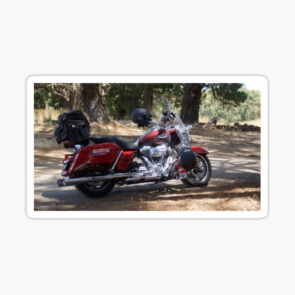 Item preview, Motor Bike by Adelaide artist Avril Thomas at Magpie Springs designed and sold by MagpieSprings.
