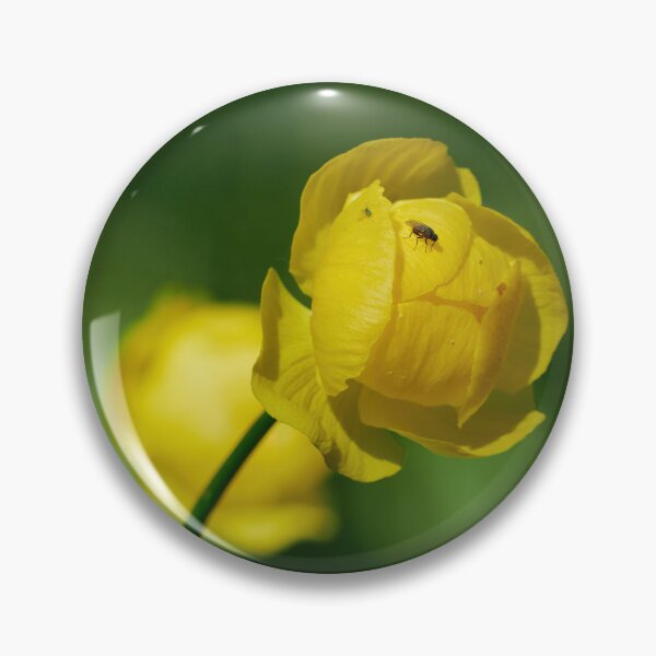Item preview, Standing point. Globeflower designed and sold by Jouko Lehto Photography.