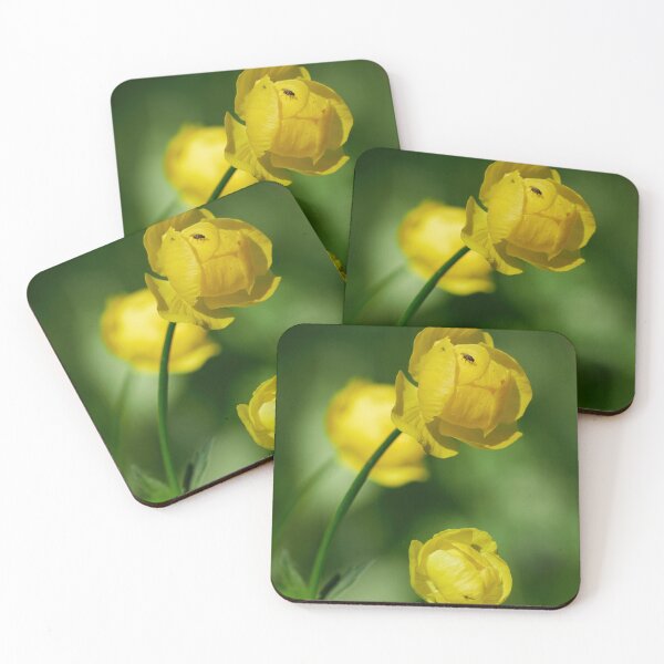 Item preview, Standing point. Globeflower designed and sold by Jouko Lehto Photography.