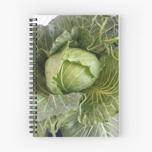 Item preview, cabbage designed and sold by March Rider.