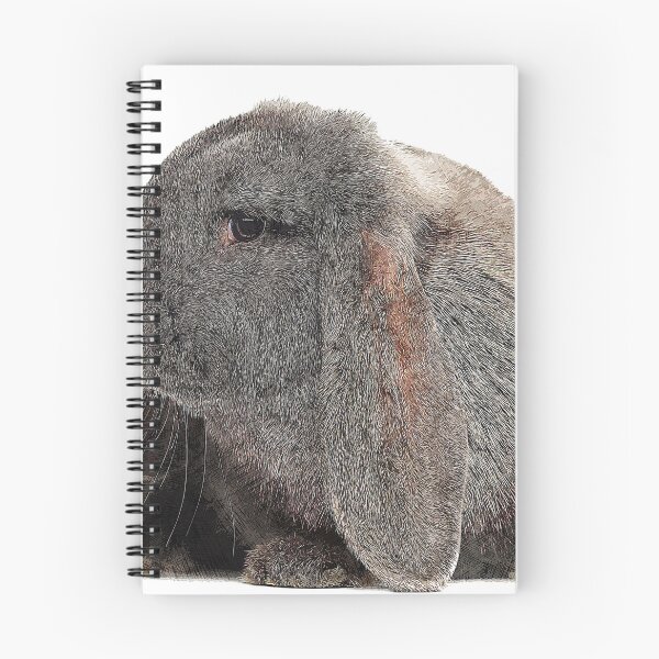 Item preview, So darn cute, French Lop Rabbit - Custom Pet Portrait Art Studio designed and sold by Custom Pet Portrait Art Studio.