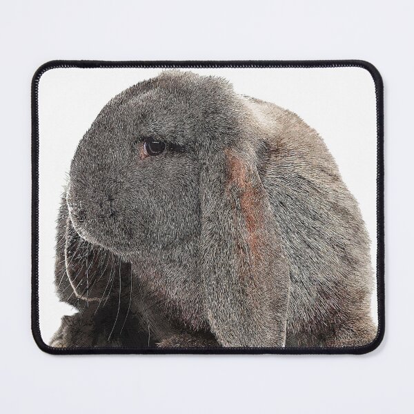 Item preview, So darn cute, French Lop Rabbit - Custom Pet Portrait Art Studio designed and sold by Custom Pet Portrait Art Studio.