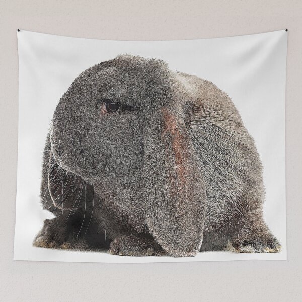 Item preview, So darn cute, French Lop Rabbit - Custom Pet Portrait Art Studio designed and sold by Custom Pet Portrait Art Studio.