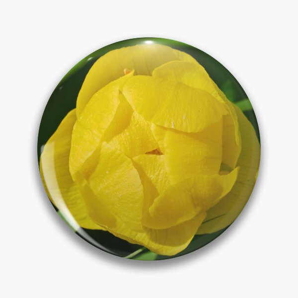 Item preview, Over the globe. Globeflower designed and sold by Jouko Lehto Photography.