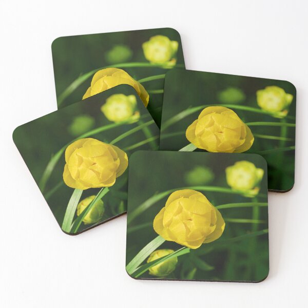 Item preview, Over the globe. Globeflower designed and sold by Jouko Lehto Photography.