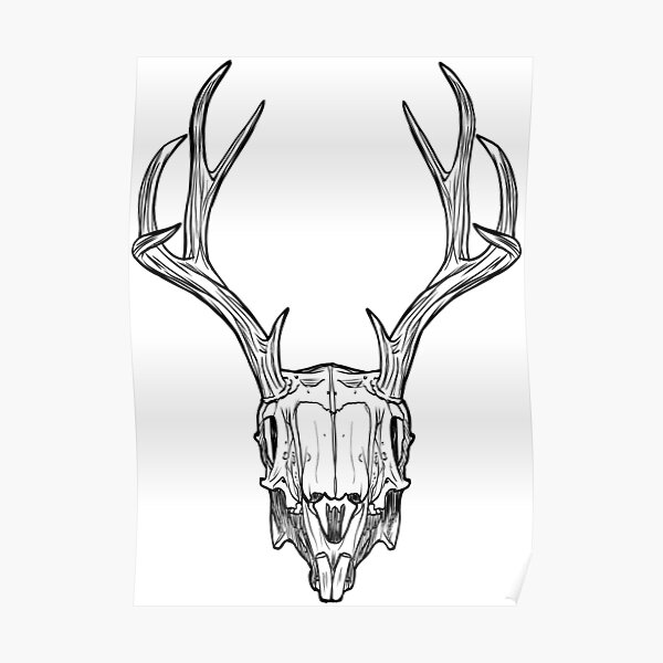 "Deer Skull Drawing" Poster for Sale by LeoLabs Redbubble