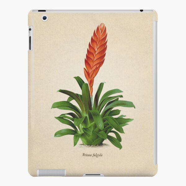 Vriesea fulgida old plate Funda rígida para iPad