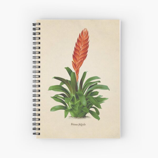 Vriesea fulgida old plate Cuaderno de espiral