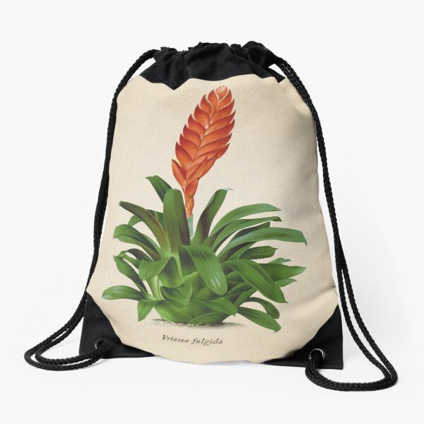 Vriesea fulgida old plate Mochila saco