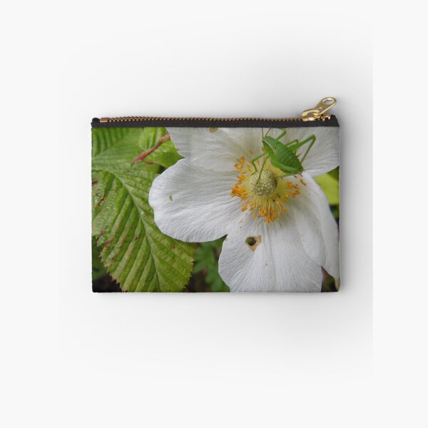 Item preview, Anemone with grasshopper designed and sold by rachariedel.