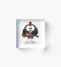 Owlsome Acrylic Block