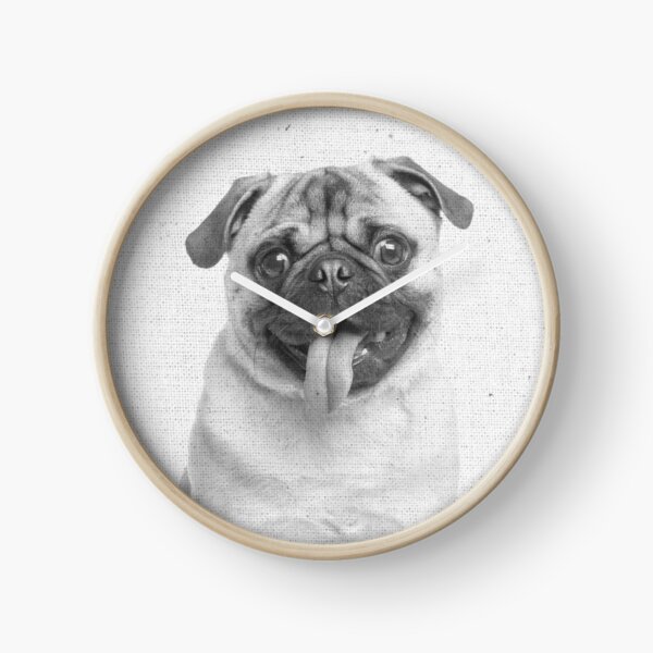 Mops 02 Uhr