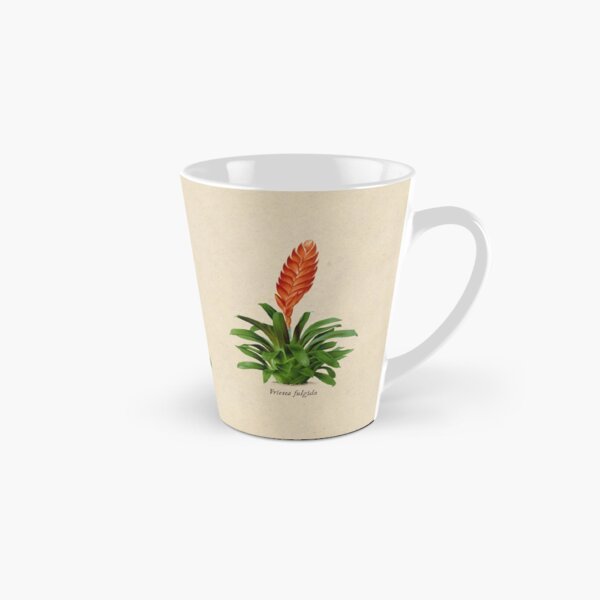 Vriesea fulgida old plate Taza cónica