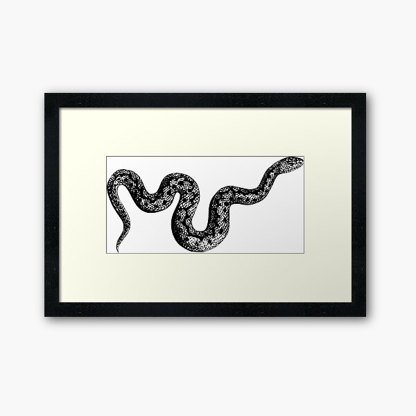 Snake Framed Art Print