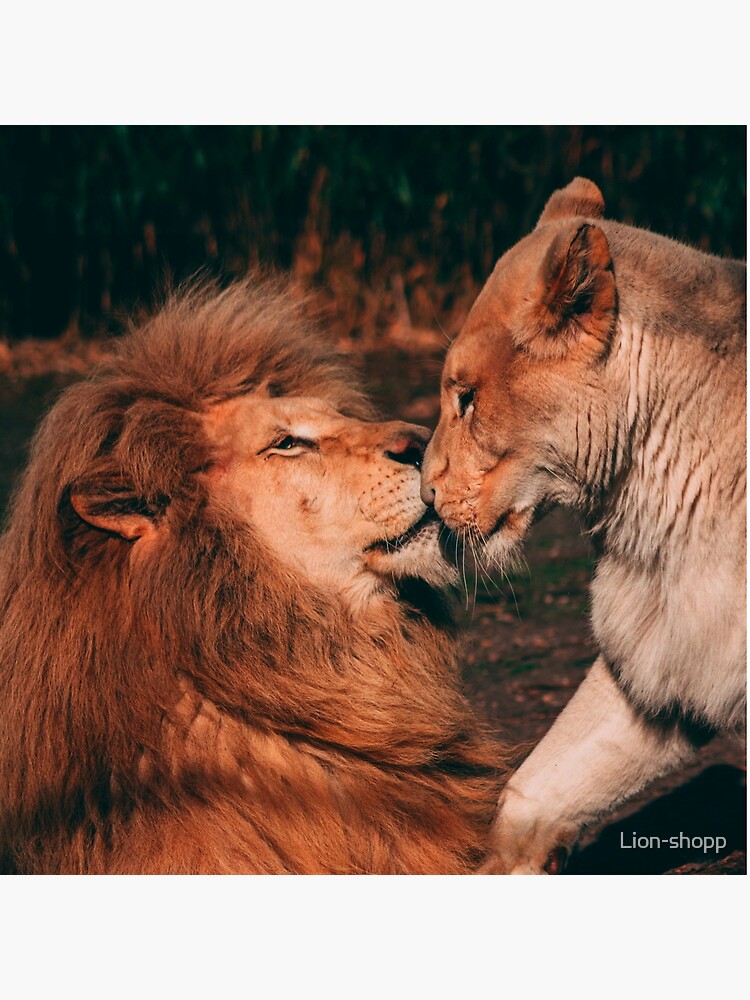 Bolsa de tela «Leones enamorados Pasión» de Lion-shopp | Redbubble