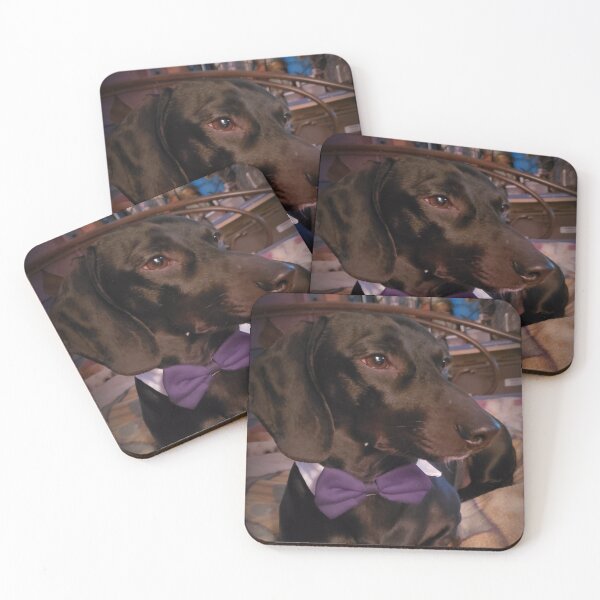 Item preview, One handsome fellow!  designed and sold by Kim Taylor.