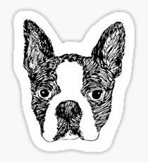 Boston Terrier Sticker