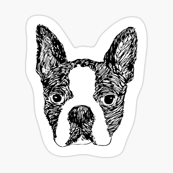Boston Terrier Sticker