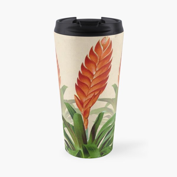 Vriesea fulgida old plate Taza de viaje