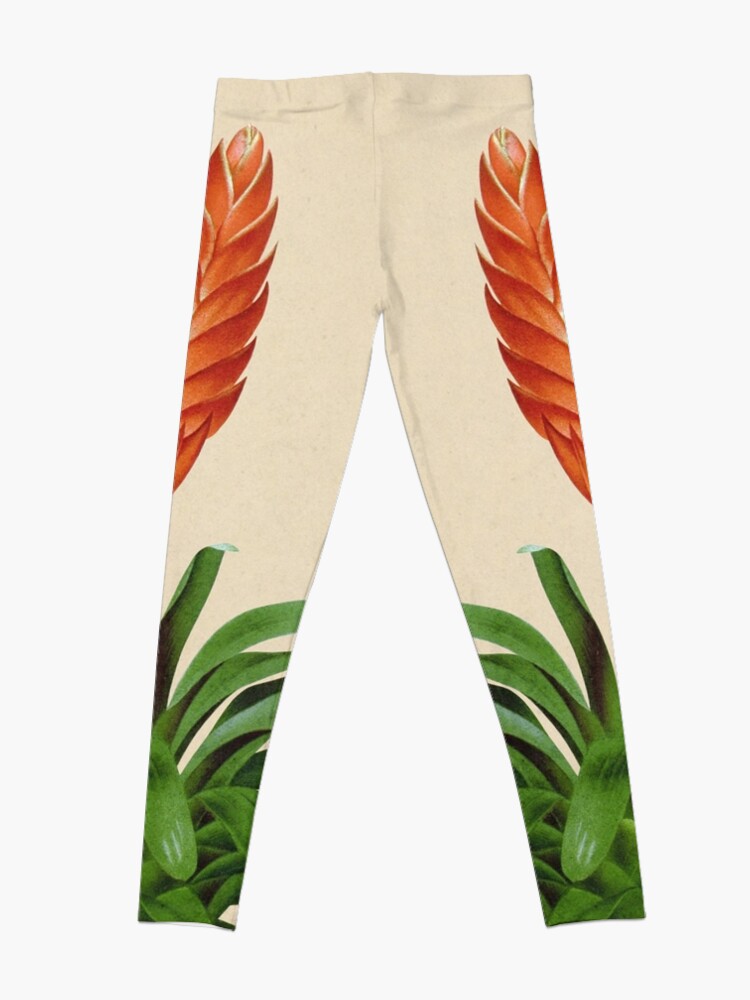 Vista alternativa de Leggings Vriesea fulgida old plate