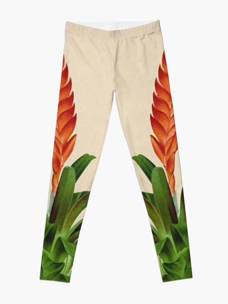 Vista alternativa de Leggings Vriesea fulgida old plate