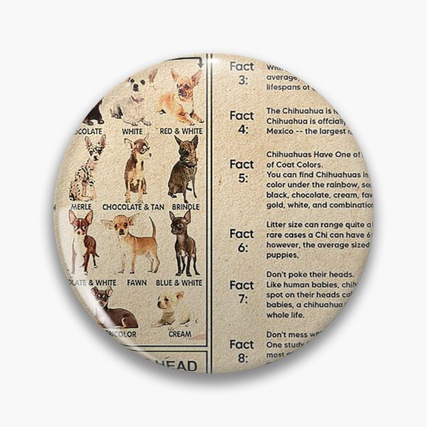 Item preview, Chihuahua Knowledge art dogs lover designed and sold by toniobnd51.