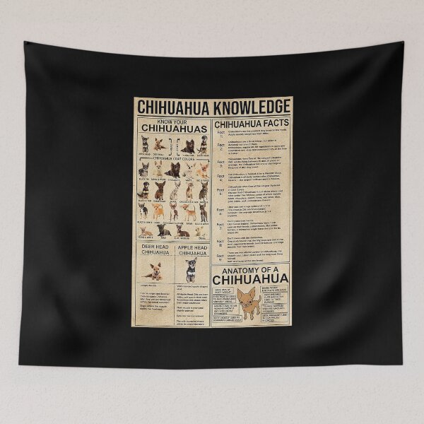 Item preview, Chihuahua Knowledge art dogs lover designed and sold by toniobnd51.