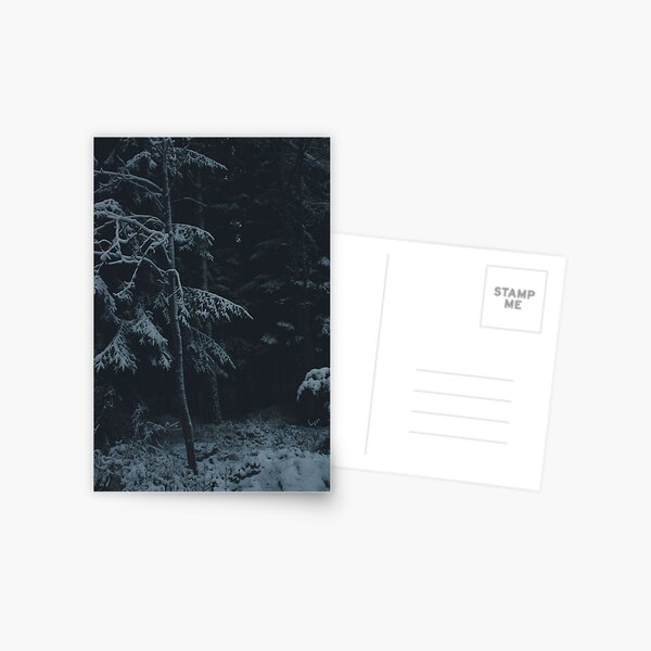 Winter Dark Postcard