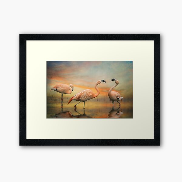 Item preview, Flamingo Dusk designed and sold by Brian Tarr.