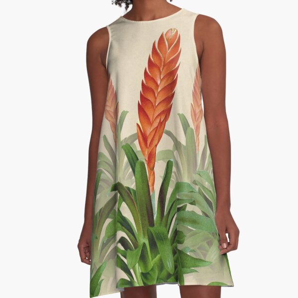 Vriesea fulgida old plate Vestido acampanado