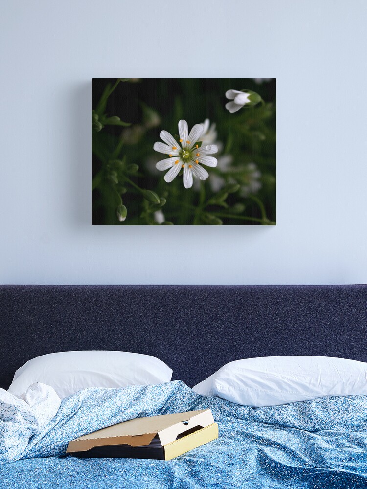 Thumbnail 2 of 3, Canvas Print, A five-rabbits flower designed and sold by kriscareful.