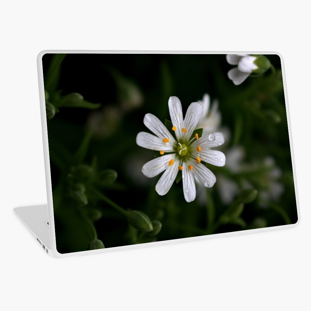 Item preview, Laptop Skin designed and sold by kriscareful.