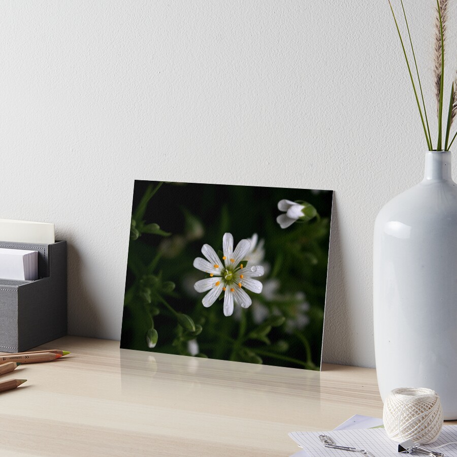 Item preview, Art Board Print designed and sold by kriscareful.
