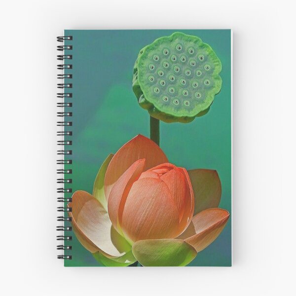 Item preview, Lotus flower designed and sold by NengShop.