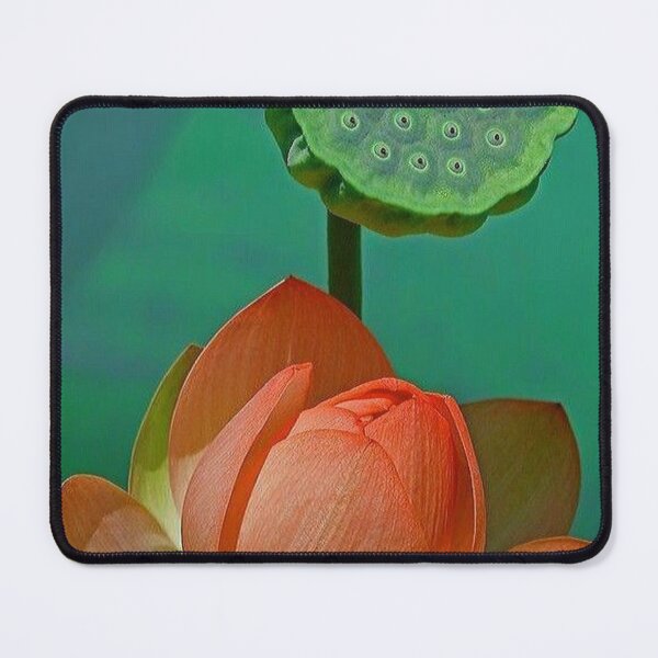 Item preview, Lotus flower designed and sold by NengShop.