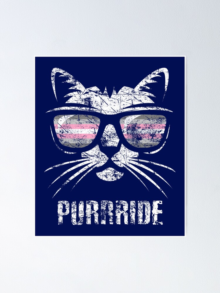 Demigirl Pride Flag Vintage Cat Demigirl Flag Poster For Sale By Duyrammm Redbubble 6708