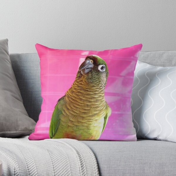 The Washing Is All Done Mum....Bubbles - Maroon-Bellied Conure - NZ Throw Pillow