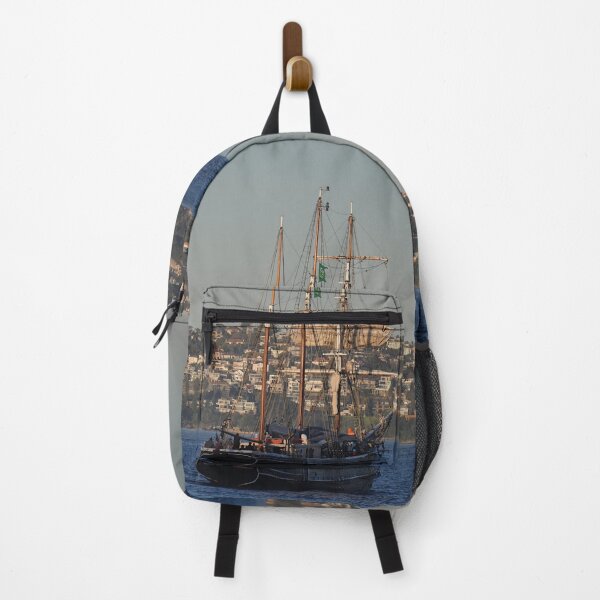 Item preview, Southern Swan, Sydney Harbour, Australia 20220615 designed and sold by muz2142.