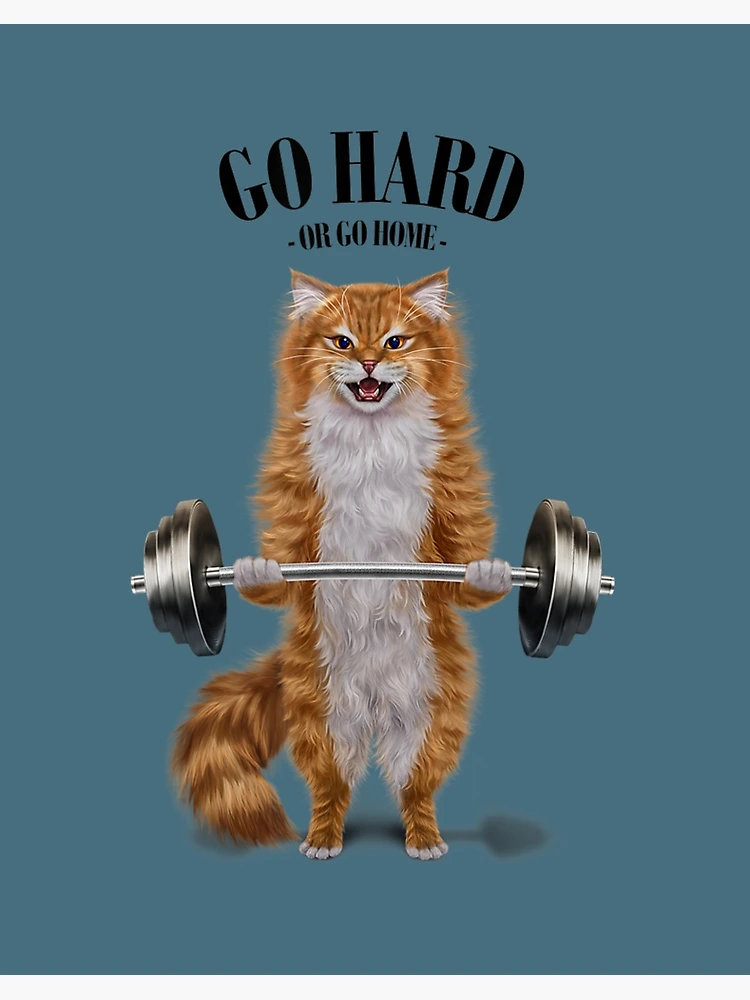 A Buff White Cat at the Gym Stock Illustration - Illustration of muscles,  active: 280905554