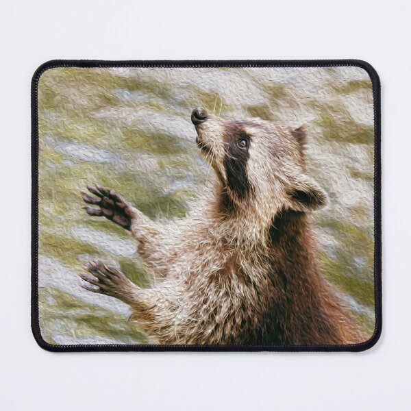 Item preview, Cute Racoon Begging for food designed and sold by friendlyfauna.