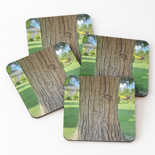 Item preview, Gnarly Old Tree with Eyes Nature Photo Design designed and sold by TacoRose.