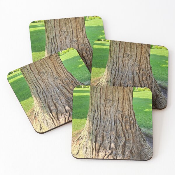 Item preview, Copy of Gnarly Old Tree with Eyes Nature Photo Design designed and sold by TacoRose.