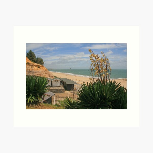 Item preview, Branksome Dene designed and sold by RedHillDigital.