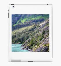 Peaceful iPad Case/Skin