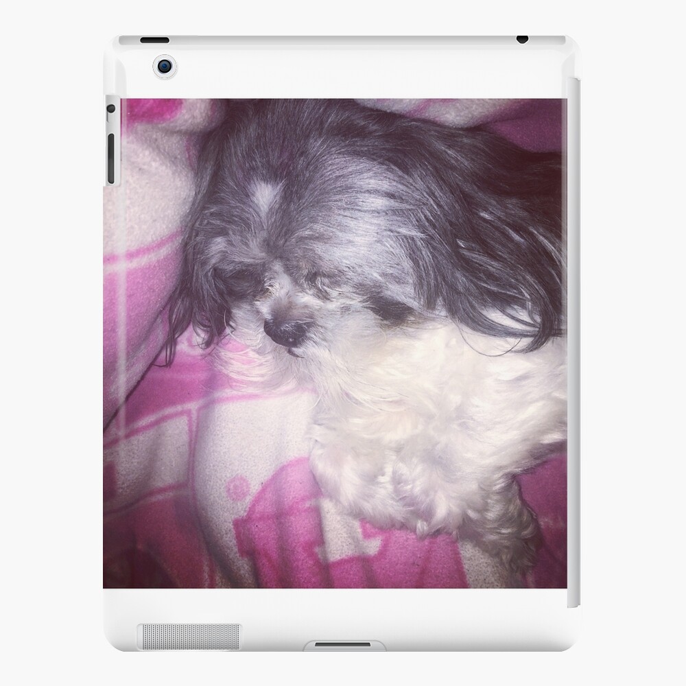 Puppy Love iPad Case & Skin