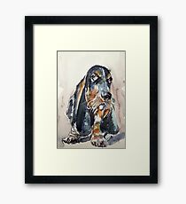 Basset hound Framed Print