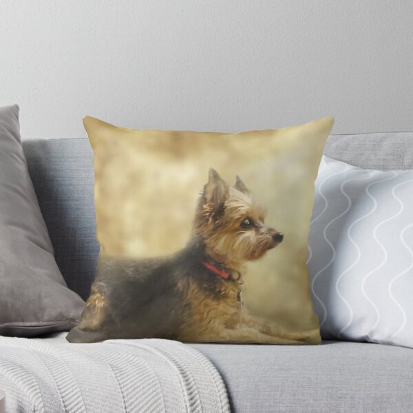 Item preview, Coco designed and sold by Christina Brundage.
